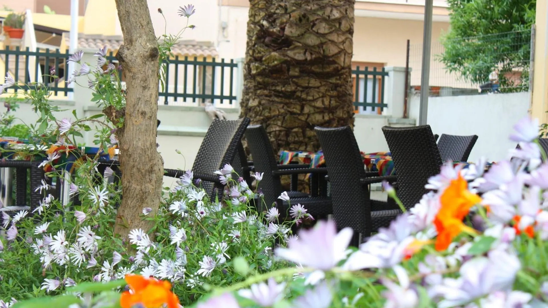 Hotel Alguer 3*, Alghero